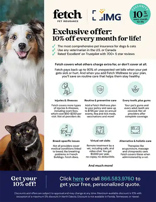 Fetch Pet Insurance