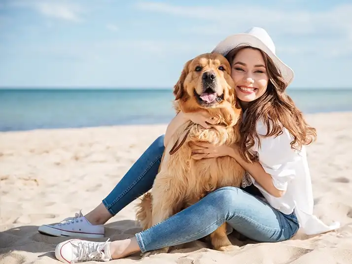 Dog on beach